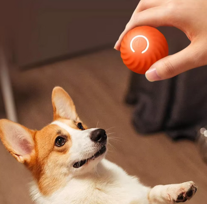 Pelota Inteligente para Perros y Gatos